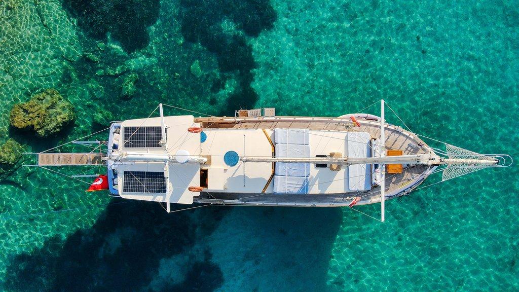 Sustainable Sailing: Harnessing Solar Power