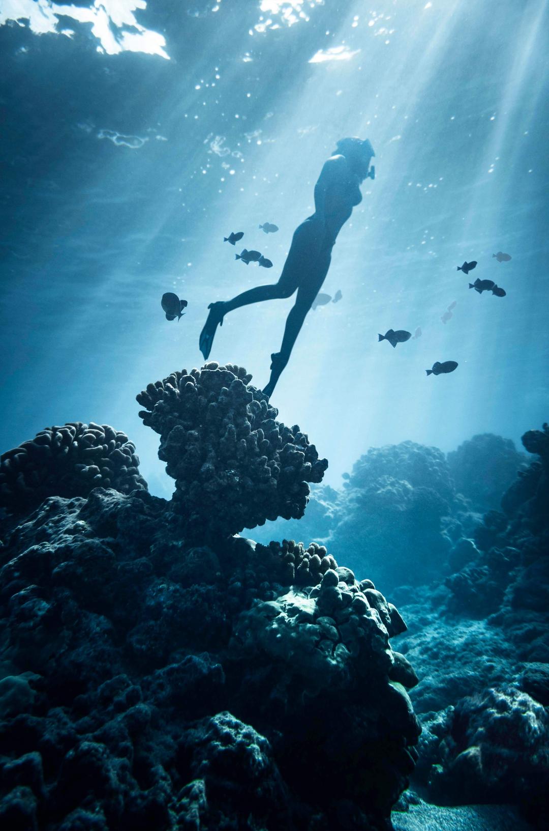 Snorkelling