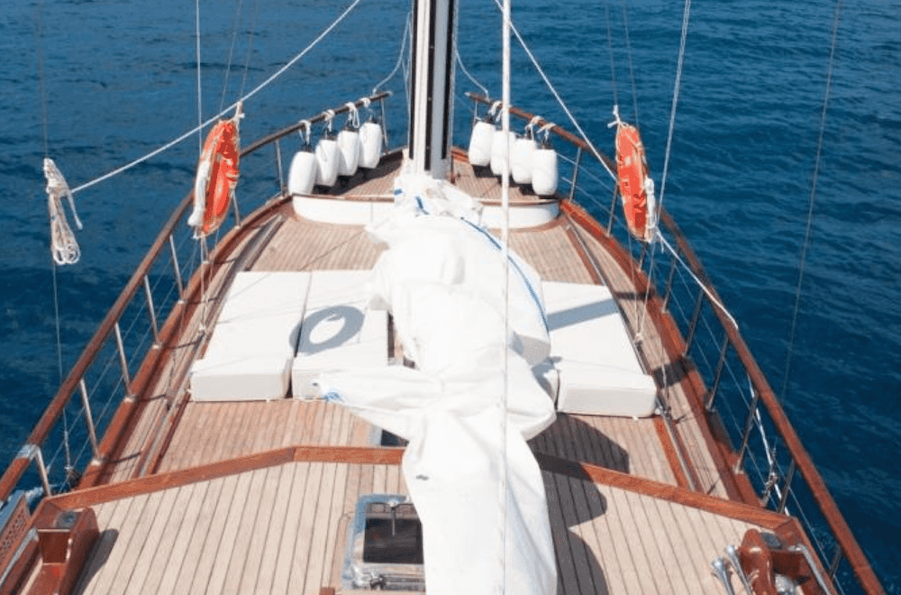 Anka 35