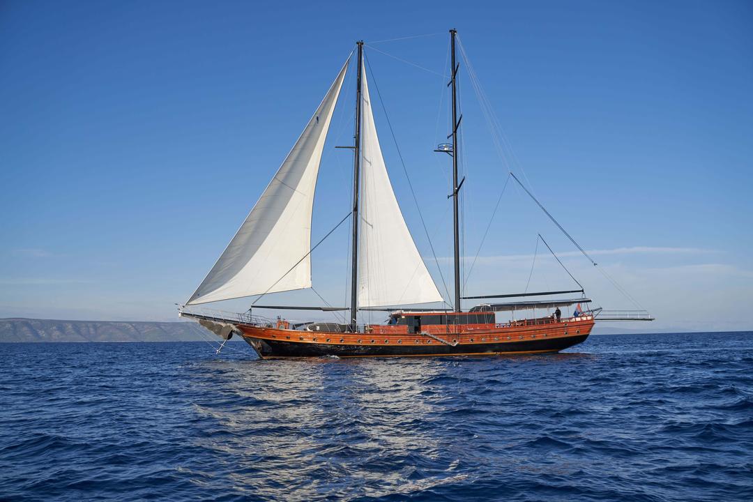 Stella Maris